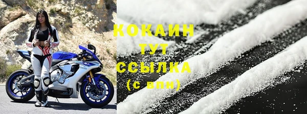 дмт Майский